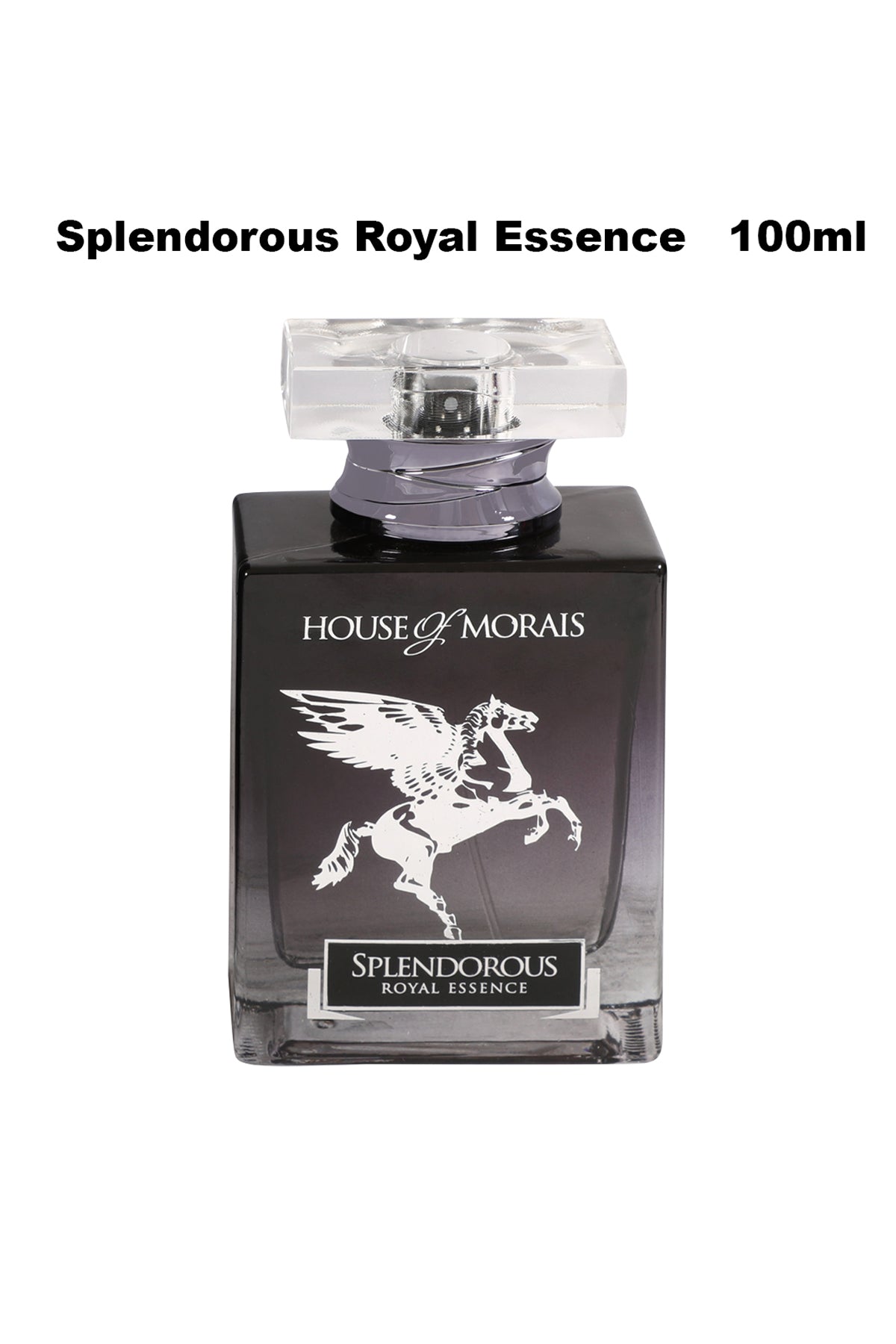 SPLENDOROUS ROYAL ESSENCE SPRAY COLOGNE EAU DE PARFUM FOR MEN - 100ML ...