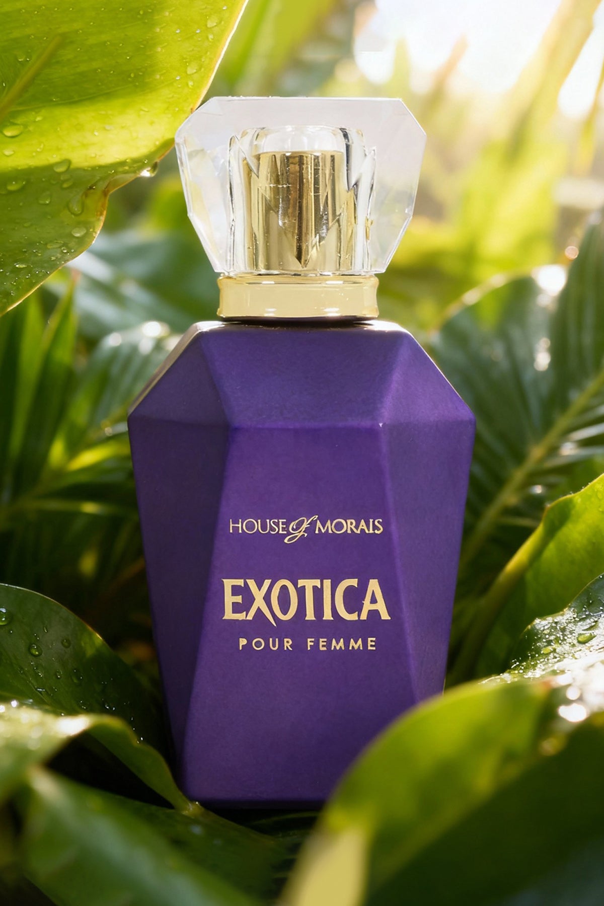 EXOTICA SPRAY PERFUME EAU DE PARFUM FOR WOMEN - 100ML/3.4FL.OZ. – MYS ...