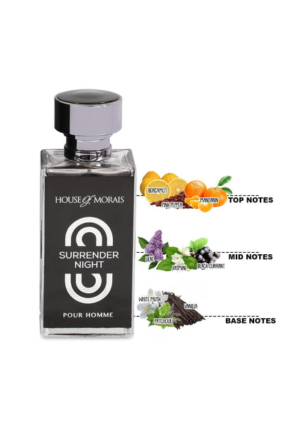 SURRENDER NIGHT SPRAY PERFUME EAU DE PARFUM FOR MEN - 100ML/3.4FL.OZ.
