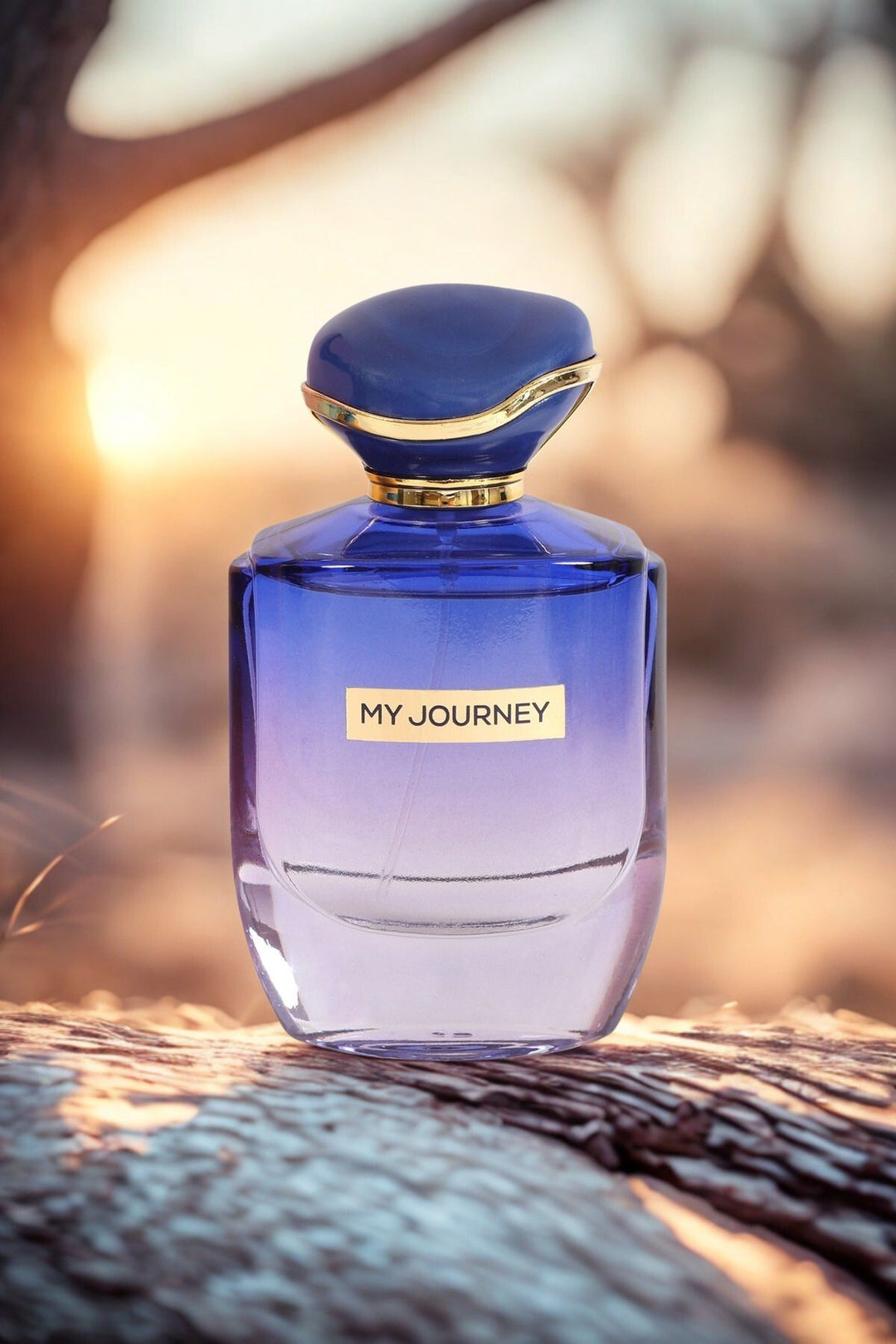 MY JOURNEY SPRAY PERFUME EAU DE PARFUM FOR WOMEN - 100ML/3.4FL.OZ