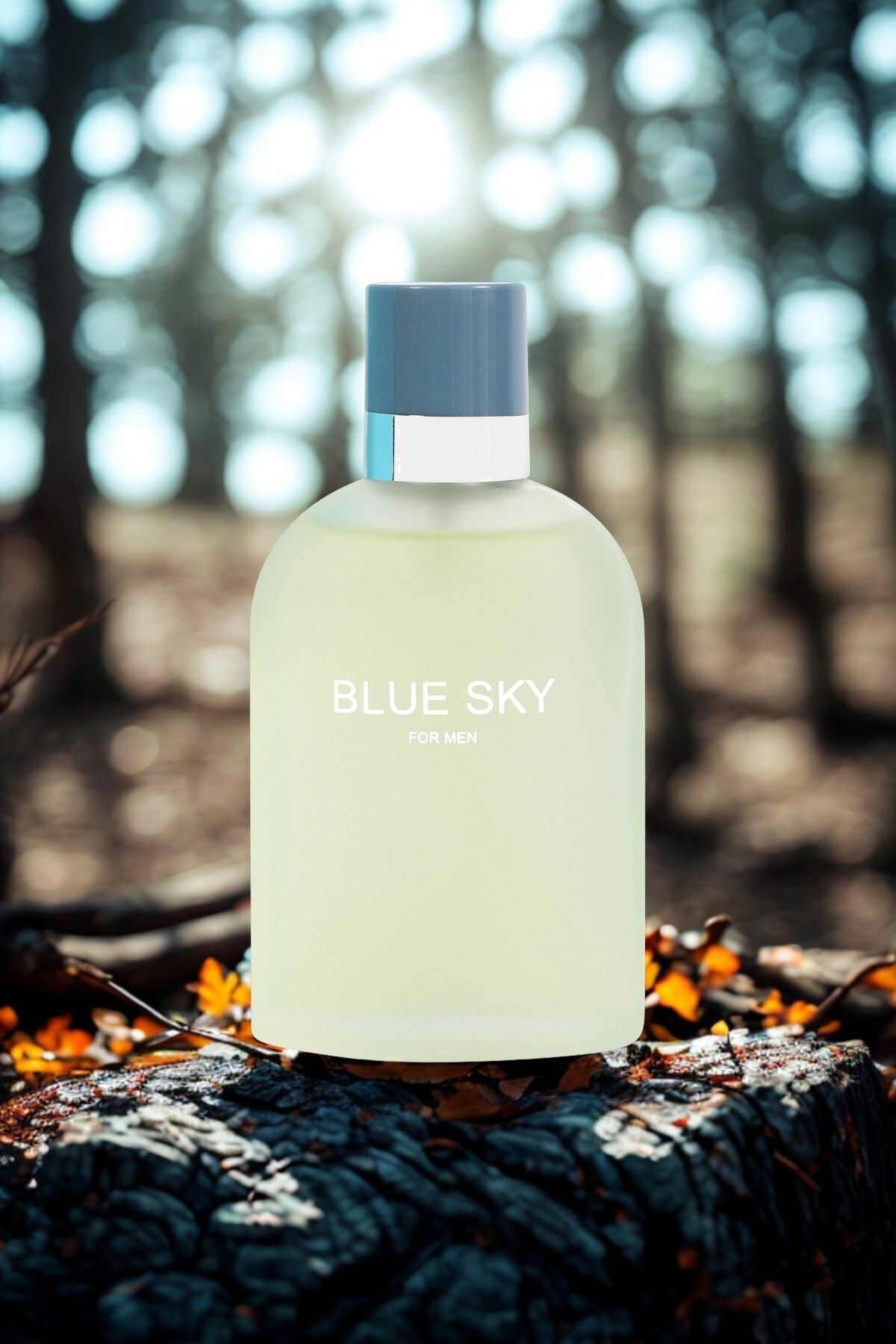 BLUE SKY SPRAY PERFUME EAU DE PARFUM FOR MEN - 100ML/3.4 FL.OZ.