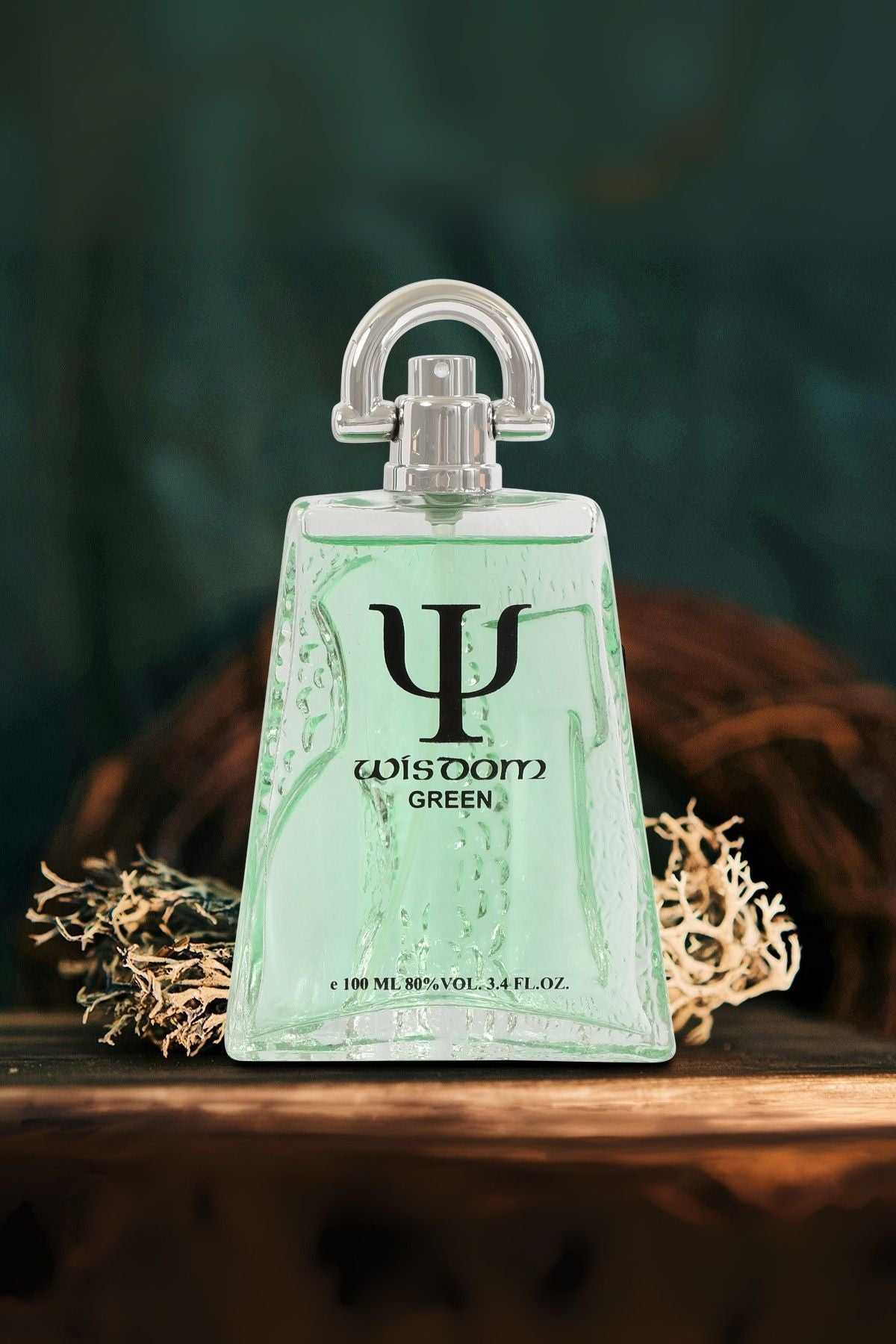 Wisdom Insect Spray WISDOM GREEN SPRAY PERFUME EAU DE PARFUM FOR MEN - 100ML/3.4 FL.OZ ...